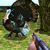 turkey shooter 3d